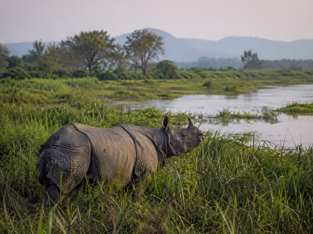 Kaziranga Assam Tour Package